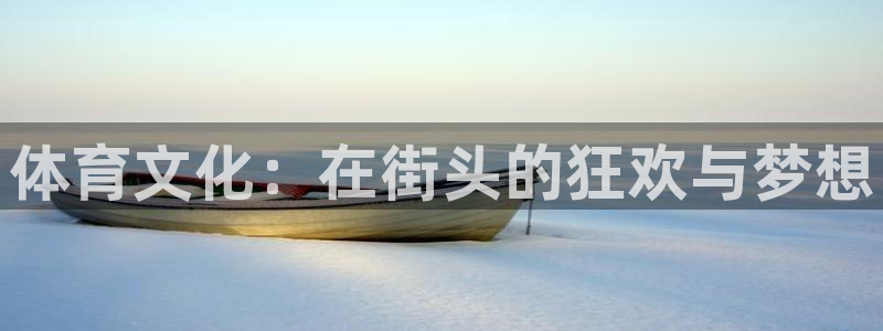 海南JJB竞技宝官网下载：体育文化：在街头的狂欢与梦