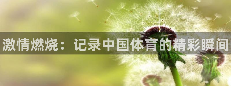 JJB竞技宝官网下载平台：激情燃烧：记录中国体育的精