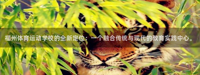 JJB竞技宝官网下载：福州体育运动学校的全新定位：一个融合传