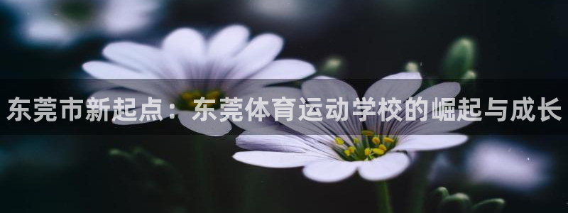 德国JJB竞技宝官方正版app集团：东莞市新起点：东
