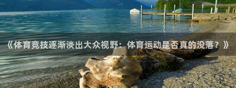JJB竞技宝官网下载平台：《体育竞技逐渐淡出大众视野