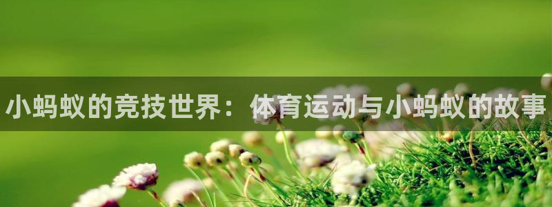 JJB竞技宝官网下载娱乐：小蚂蚁的竞技世界：体育运动