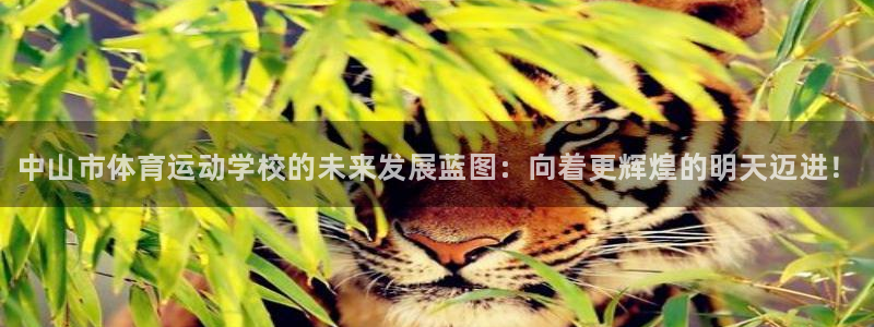 JJB竞技宝官网下载平台：中山市体育运动学校的未来发
