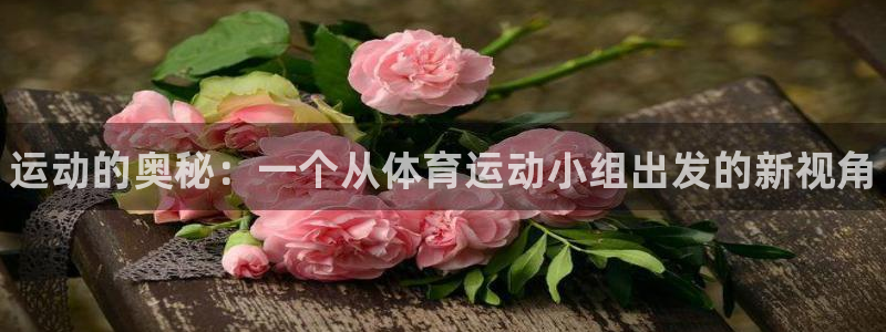 德国JJB竞技宝官方正版app集团：运动的奥秘：一个