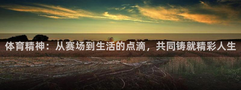 JJB竞技宝官方正版app娱乐：体育精神：从赛场到生