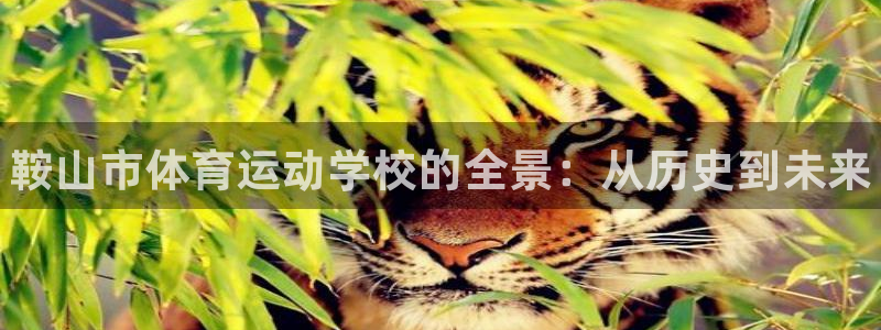 JJB竞技宝官网下载平台是正规平台吗：鞍山市体育运动学校的全