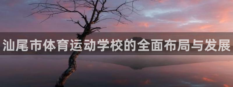 JJB竞技宝官方正版app集团：汕尾市体育运动学校的全面布局