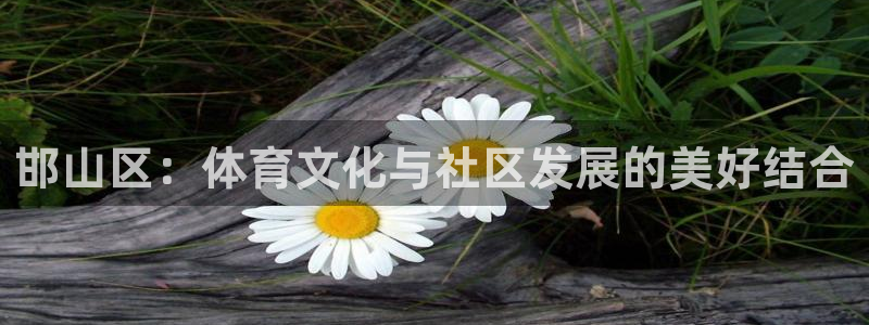 海南JJB竞技宝官网下载：邯山区：体育文化与社区发展的美好结