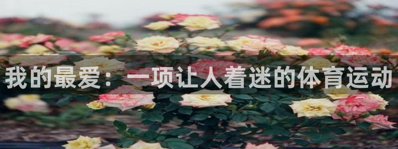 JJB竞技宝官网下载平台注册流程视频：我的最爱：一项