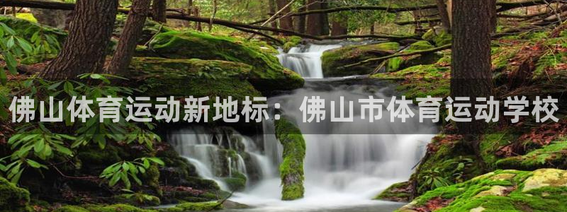 JJB竞技宝官方平台体育：佛山体育运动新地标：佛山市