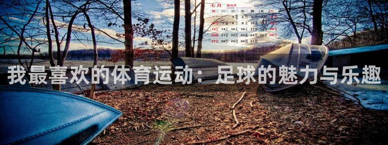 JJB竞技宝官方正版app开户：我最喜欢的体育运动：