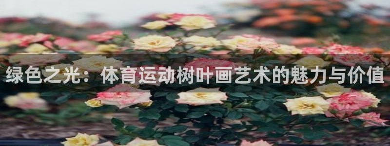 JJB竞技宝官方正版app娱乐平台：绿色之光：体育运动树叶画