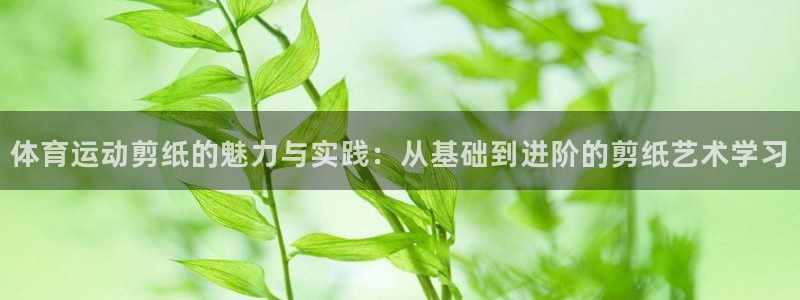 JJB竞技宝官网下载注册：体育运动剪纸的魅力与实践：从基础到