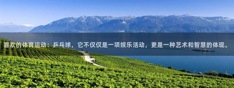 海南JJB竞技宝官网下载:喜欢的体育运动:乒乓球,它不仅仅是