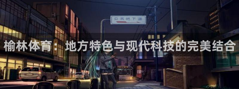 JJB竞技宝官方正版app代理：榆林体育：地方特色与现代科技