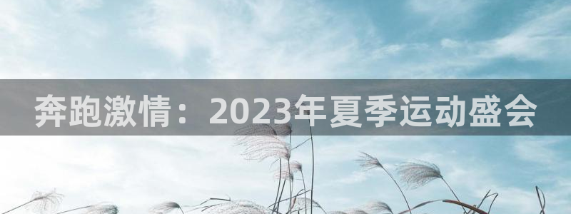 JJB竞技宝官方平台体育：奔跑激情：2023年夏季运动盛会