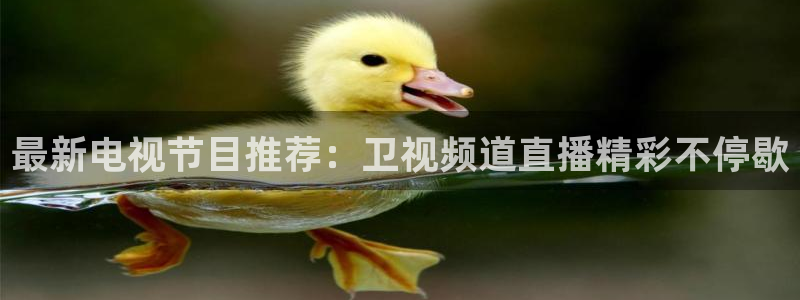 山猫免费直播