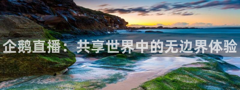山猫直播体育篮球：企鹅直播：共享世界中的无边界体验