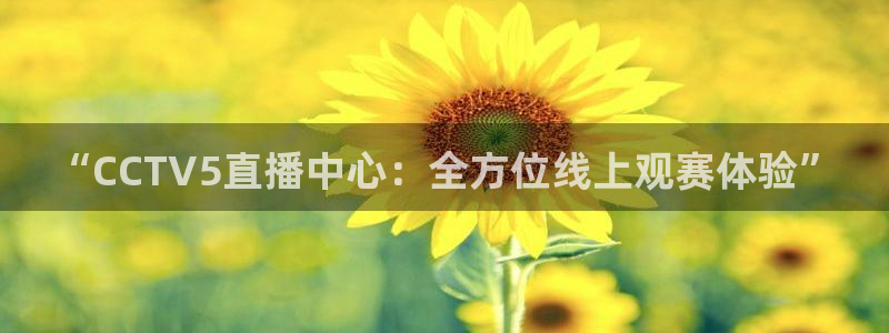 山猫直播山猫体育：“CCTV5直播中心：全方位线上观赛体验”