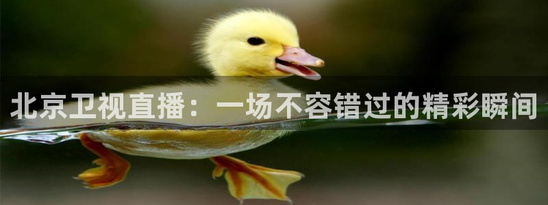 山猫体育直播免费直播nba：北京卫视直播：一场不容错过的精彩瞬间