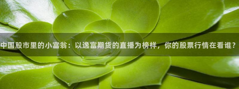 山猫体育足球比赛直播：中国股市里的小富翁：以逸富期货的直播为榜样，你的股票行情在看谁？