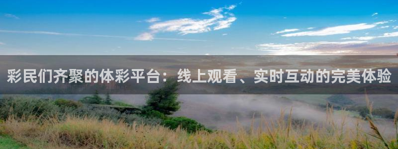 山猫足球免费直播在线观看：彩民们齐聚的体彩平台：线上观看、实时互动的完美体验